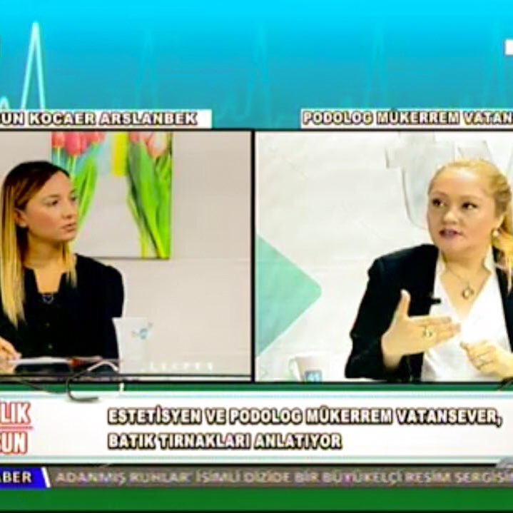 TV 41
